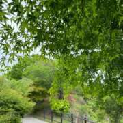 ヒメ日記 2025/05/14 14:14 投稿 麗華(れいか) 高崎回春性感SPA