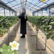 ヒメ日記 2026/01/15 11:45 投稿 麗華(れいか) 高崎回春性感SPA