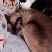 ヒメ日記 2025/02/22 17:04 投稿 ゆず 川崎・東横人妻城