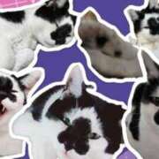 ヒメ日記 2025/04/12 06:33 投稿 ゆず 川崎・東横人妻城