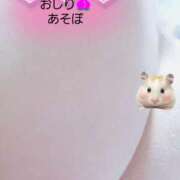 ヒメ日記 2025/04/12 18:33 投稿 ゆず 川崎・東横人妻城