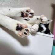 ヒメ日記 2025/04/26 22:33 投稿 ゆず 川崎・東横人妻城