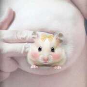 ヒメ日記 2025/05/09 22:33 投稿 ゆず 川崎・東横人妻城