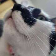 ヒメ日記 2025/06/19 07:57 投稿 ゆず 川崎・東横人妻城