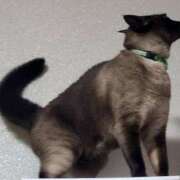 ヒメ日記 2025/06/30 17:48 投稿 ゆず 川崎・東横人妻城