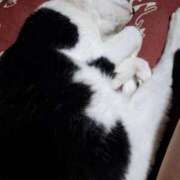 ヒメ日記 2025/07/19 07:06 投稿 ゆず 川崎・東横人妻城