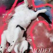 ヒメ日記 2025/07/30 18:15 投稿 ゆず 川崎・東横人妻城