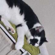 ヒメ日記 2025/08/16 19:39 投稿 ゆず 川崎・東横人妻城