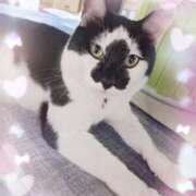 ヒメ日記 2025/10/01 16:09 投稿 ゆず 川崎・東横人妻城