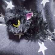 ヒメ日記 2025/11/28 08:24 投稿 ゆず 川崎・東横人妻城