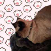 ヒメ日記 2025/12/17 22:32 投稿 ゆず 川崎・東横人妻城