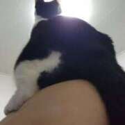 ヒメ日記 2026/02/28 15:13 投稿 ゆず 川崎・東横人妻城