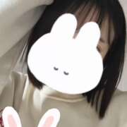 ヒメ日記 2024/12/12 09:01 投稿 ウララ エピソード(品川)