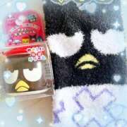 ヒメ日記 2024/12/13 12:16 投稿 ウララ エピソード(品川)