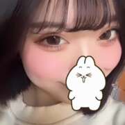 ヒメ日記 2024/12/16 09:31 投稿 ウララ エピソード(品川)