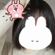 ヒメ日記 2024/12/17 08:01 投稿 ウララ エピソード(品川)