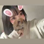 ヒメ日記 2025/01/21 09:31 投稿 ウララ エピソード(品川)