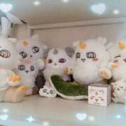 ヒメ日記 2025/01/24 18:46 投稿 ウララ エピソード(品川)