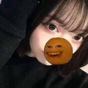 ヒメ日記 2025/02/01 09:16 投稿 ウララ エピソード(品川)