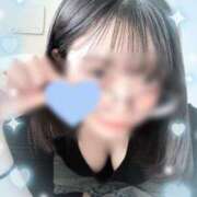 ヒメ日記 2025/02/03 22:31 投稿 ウララ エピソード(品川)