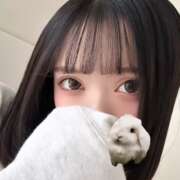 ヒメ日記 2025/02/06 10:16 投稿 ウララ エピソード(品川)