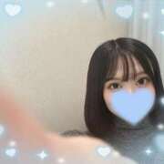 ヒメ日記 2025/02/08 11:16 投稿 ウララ エピソード(品川)