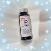 ヒメ日記 2025/02/10 12:16 投稿 ウララ エピソード(品川)