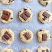 ヒメ日記 2025/02/16 00:16 投稿 ウララ エピソード(品川)