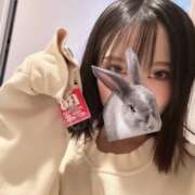 ヒメ日記 2025/02/21 09:01 投稿 ウララ エピソード(品川)