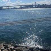 ヒメ日記 2025/02/26 04:31 投稿 ウララ エピソード(品川)