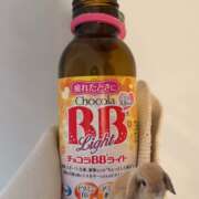 ヒメ日記 2025/02/26 09:16 投稿 ウララ エピソード(品川)