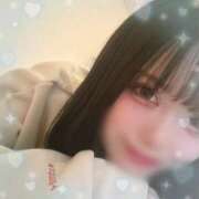 ヒメ日記 2025/03/03 12:46 投稿 ウララ エピソード(品川)