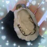 ヒメ日記 2025/03/14 17:31 投稿 ウララ エピソード(品川)