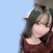 ヒメ日記 2025/03/15 01:16 投稿 ウララ エピソード(品川)