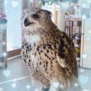 ヒメ日記 2025/03/18 23:46 投稿 ウララ エピソード(品川)