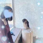 ヒメ日記 2025/03/20 11:16 投稿 ウララ エピソード(品川)