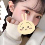 ヒメ日記 2025/03/22 09:16 投稿 ウララ エピソード(品川)