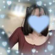 ヒメ日記 2025/03/22 11:16 投稿 ウララ エピソード(品川)