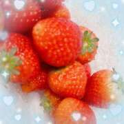 ヒメ日記 2025/03/24 12:46 投稿 ウララ エピソード(品川)