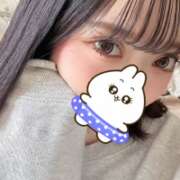 ヒメ日記 2025/03/25 09:46 投稿 ウララ エピソード(品川)