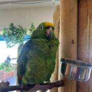 ヒメ日記 2025/03/28 20:31 投稿 ウララ エピソード(品川)