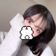 ヒメ日記 2025/04/02 09:31 投稿 ウララ エピソード(品川)