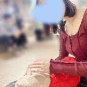 ヒメ日記 2025/04/02 11:16 投稿 ウララ エピソード(品川)