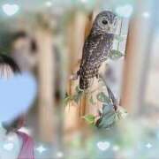 ヒメ日記 2025/04/03 11:16 投稿 ウララ エピソード(品川)