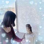 ヒメ日記 2025/04/07 23:31 投稿 ウララ エピソード(品川)