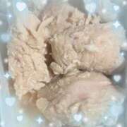 ヒメ日記 2025/04/13 22:31 投稿 ウララ エピソード(品川)