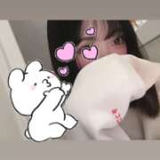 ヒメ日記 2025/04/28 09:46 投稿 ウララ エピソード(品川)