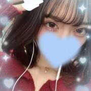 ヒメ日記 2025/05/01 11:16 投稿 ウララ エピソード(品川)