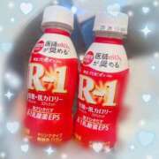 ヒメ日記 2025/05/08 09:46 投稿 ウララ エピソード(品川)