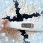 ヒメ日記 2025/05/17 11:46 投稿 ウララ エピソード(品川)